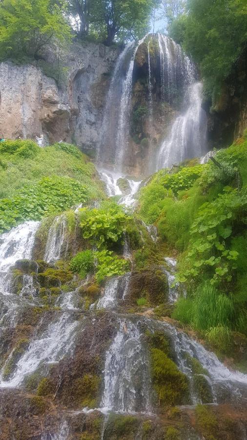 Nova Varoš Vila Zlatar Bed & Breakfast エクステリア 写真